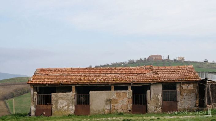 Image No.4-Maison de campagne à vendre à Cinigiano