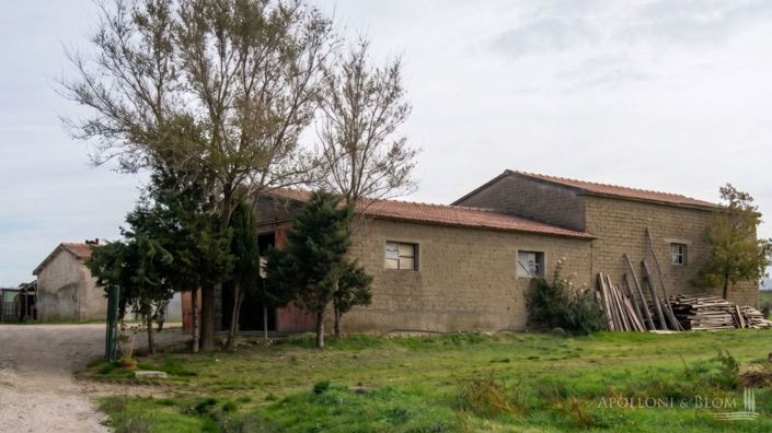 Image No.8-Maison de campagne à vendre à Cinigiano