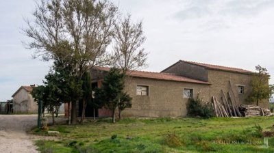 g202607061504364898