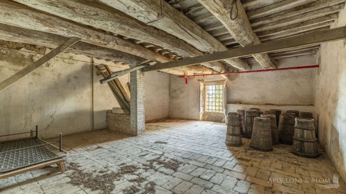 Image No.18-Appartement de 12 chambres à vendre à Montalcino
