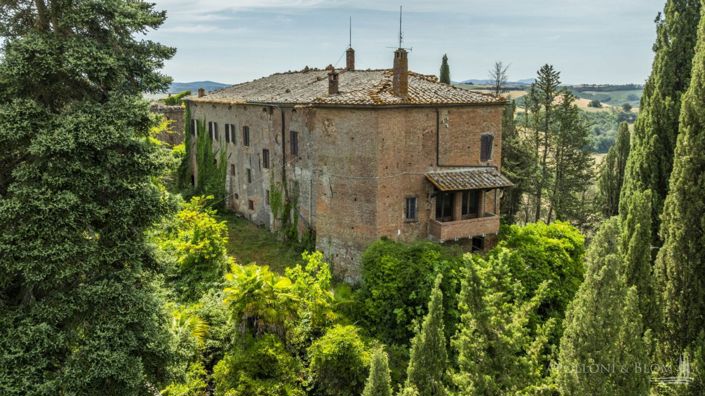 Image No.5-Appartement de 12 chambres à vendre à Montalcino