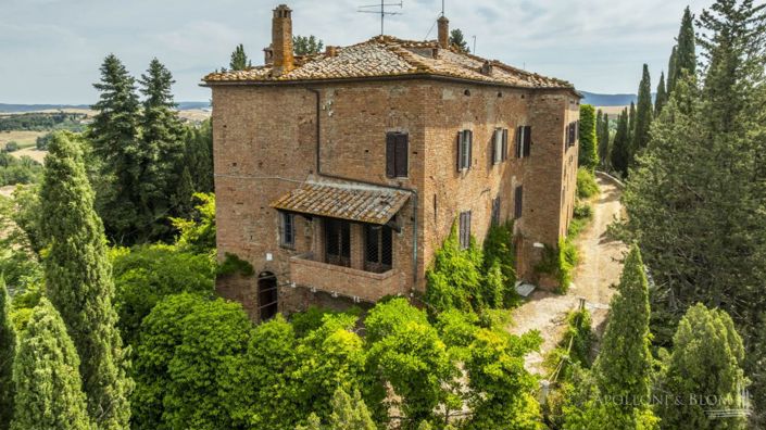 Image No.6-Appartement de 12 chambres à vendre à Montalcino