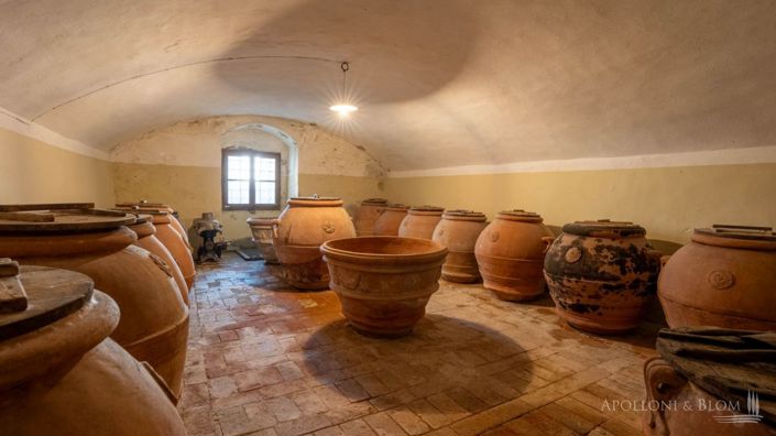 Image No.16-Vignoble de 47 chambres à vendre à Arezzo