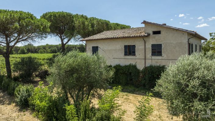 Image No.15-Appartement de 5 chambres à vendre à Cortona