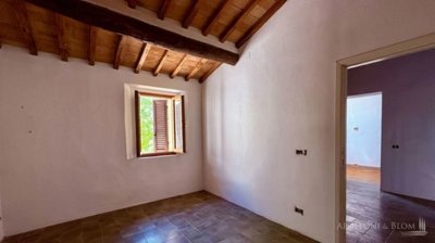 g202608131246465676
