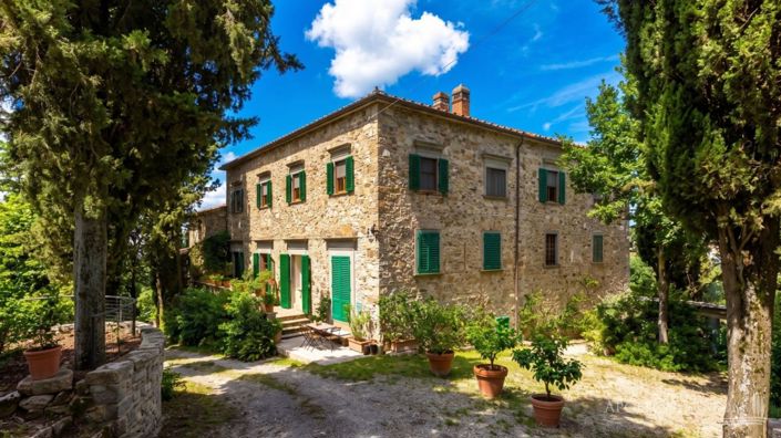 Image No.3-25 Bed Villa for sale