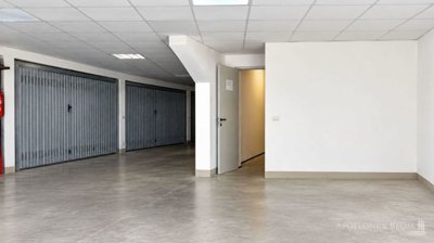 g202609171136554865