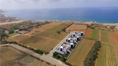 Cove-SitePlan3