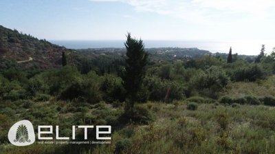 e-869291320