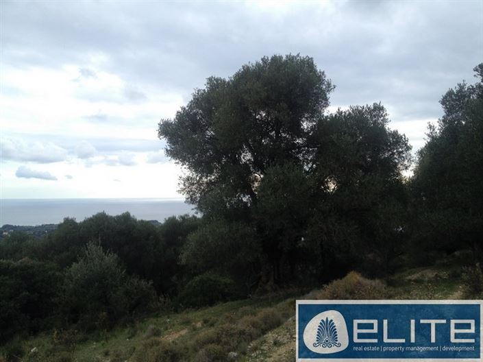 Image No.2-Plot for sale