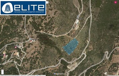 n--334770989