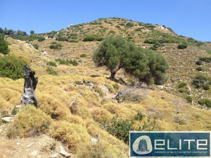 Image No.2-Terrain à vendre à Old Skala