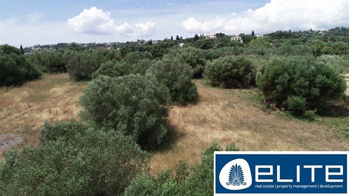 Image No.10-Terrain à vendre à Kaligata