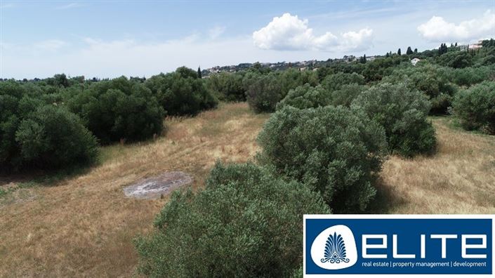 Image No.11-Terrain à vendre à Kaligata