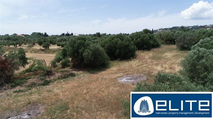 Image No.12-Terrain à vendre à Kaligata