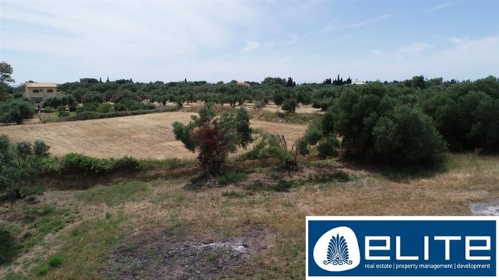 Image No.13-Terrain à vendre à Kaligata