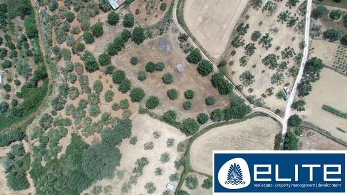 Image No.2-Terrain à vendre à Kaligata