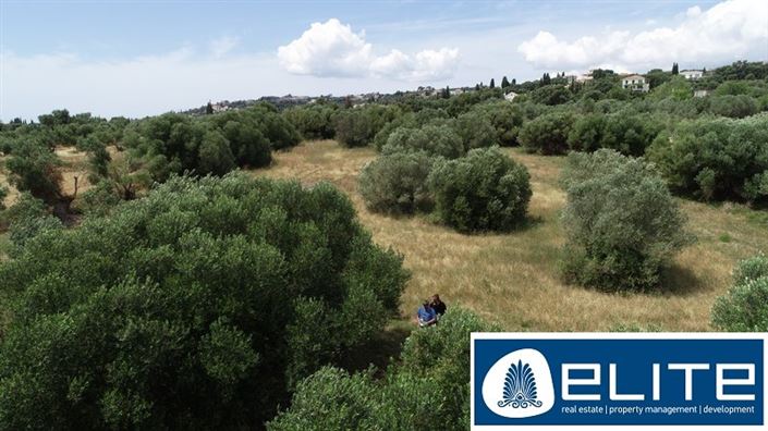 Image No.22-Terrain à vendre à Kaligata