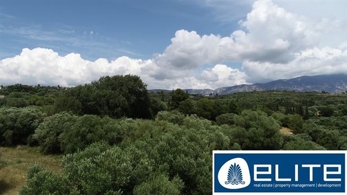 Image No.24-Terrain à vendre à Kaligata