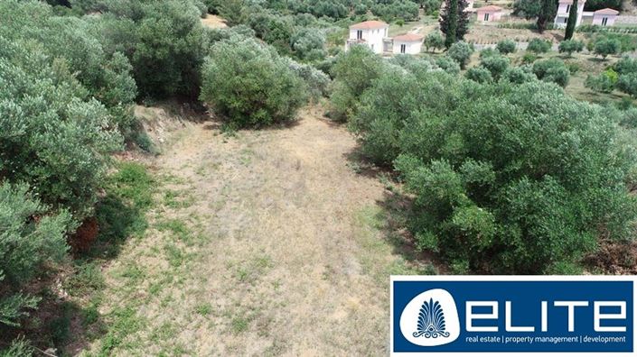 Image No.28-Terrain à vendre à Kaligata