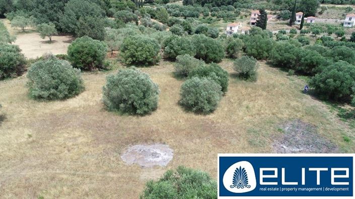 Image No.29-Terrain à vendre à Kaligata