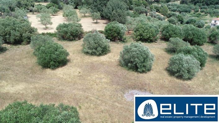 Image No.30-Terrain à vendre à Kaligata