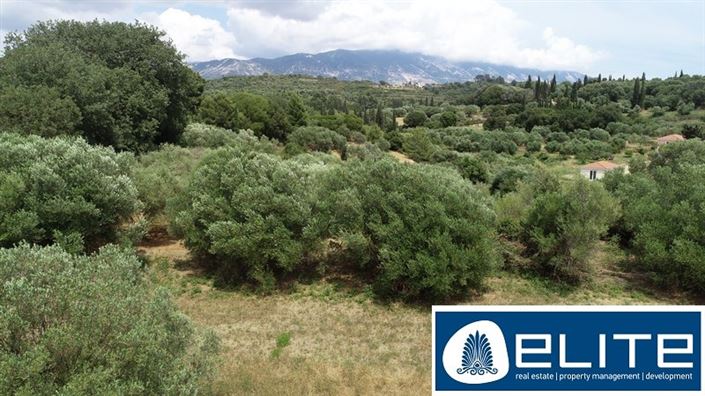 Image No.7-Terrain à vendre à Kaligata