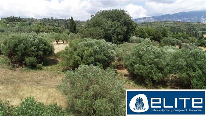 Image No.8-Terrain à vendre à Kaligata