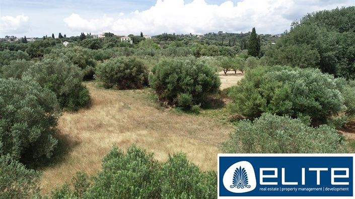 Image No.9-Terrain à vendre à Kaligata