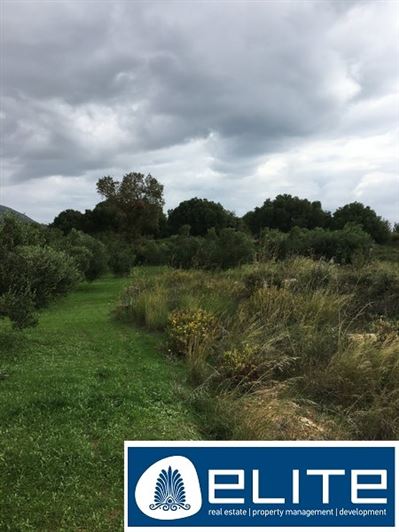 Image No.10-Terrain à vendre à Céphalonie