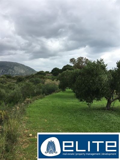 Image No.14-Terrain à vendre à Céphalonie