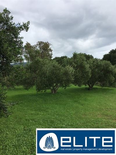 Image No.18-Terrain à vendre à Céphalonie