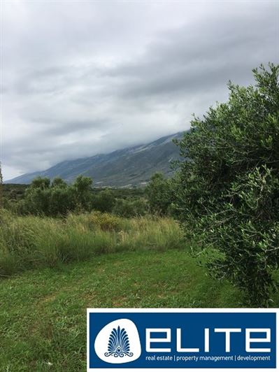 Image No.19-Terrain à vendre à Céphalonie