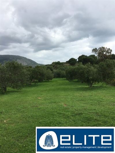 Image No.2-Terrain à vendre à Céphalonie