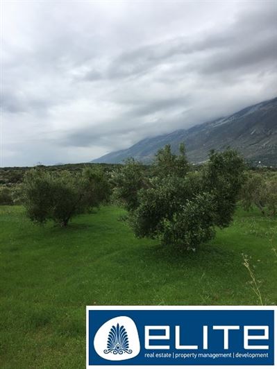 Image No.23-Terrain à vendre à Céphalonie