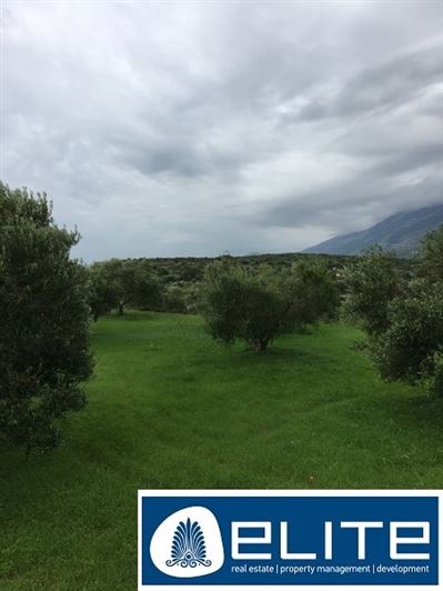 Image No.24-Terrain à vendre à Céphalonie