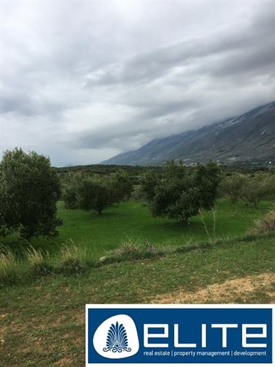 Image No.28-Terrain à vendre à Céphalonie