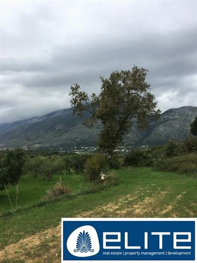 Image No.29-Terrain à vendre à Céphalonie