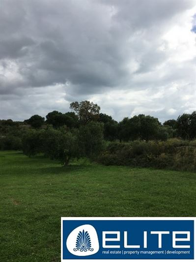 Image No.3-Terrain à vendre à Céphalonie