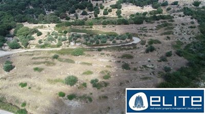 1 - Kefalonia, Plot