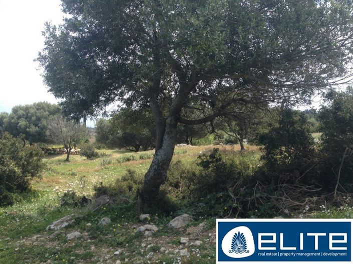 Image No.6-Plot for sale