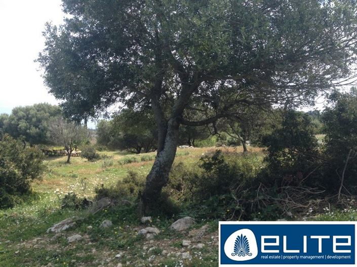 Image No.6-Terrain à vendre à Old Skala