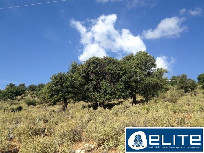 Image No.2-Terrain à vendre à Céphalonie