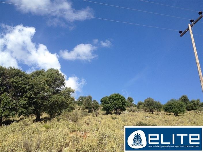 Image No.3-Terrain à vendre à Céphalonie