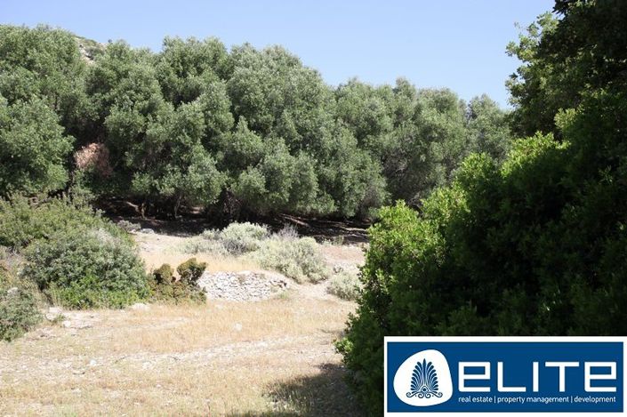 Image No.25-Plot for sale