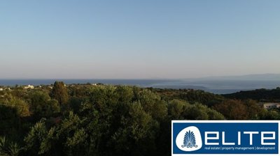 n-646821836