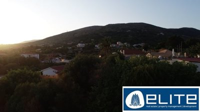 n-246484818