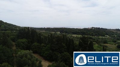 n-186070083