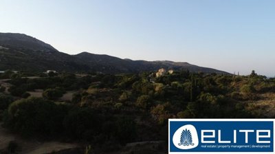 n-1300826745