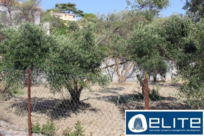 Image No.3-Land for sale